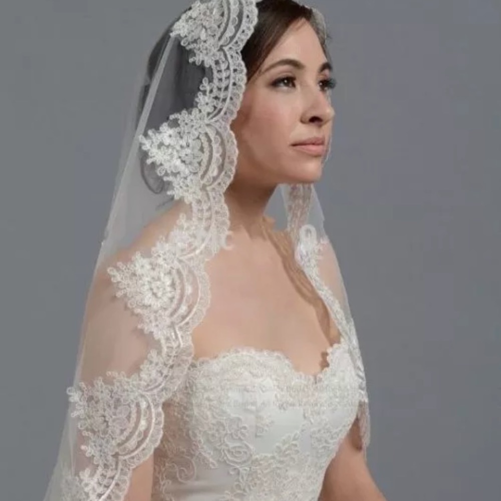 Last one! New lace detail Veil